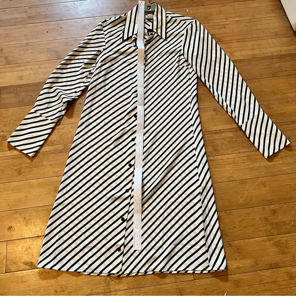 GORGEOUS H&M Stripe Button Down Dress - Picture 9 of 10